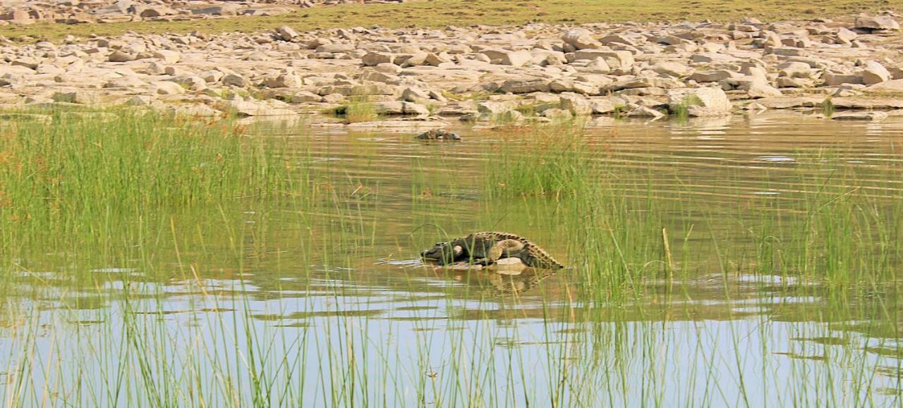 Bhadrawati - A Riverside Safari Lodge Ranthambore Eksteriør bilde