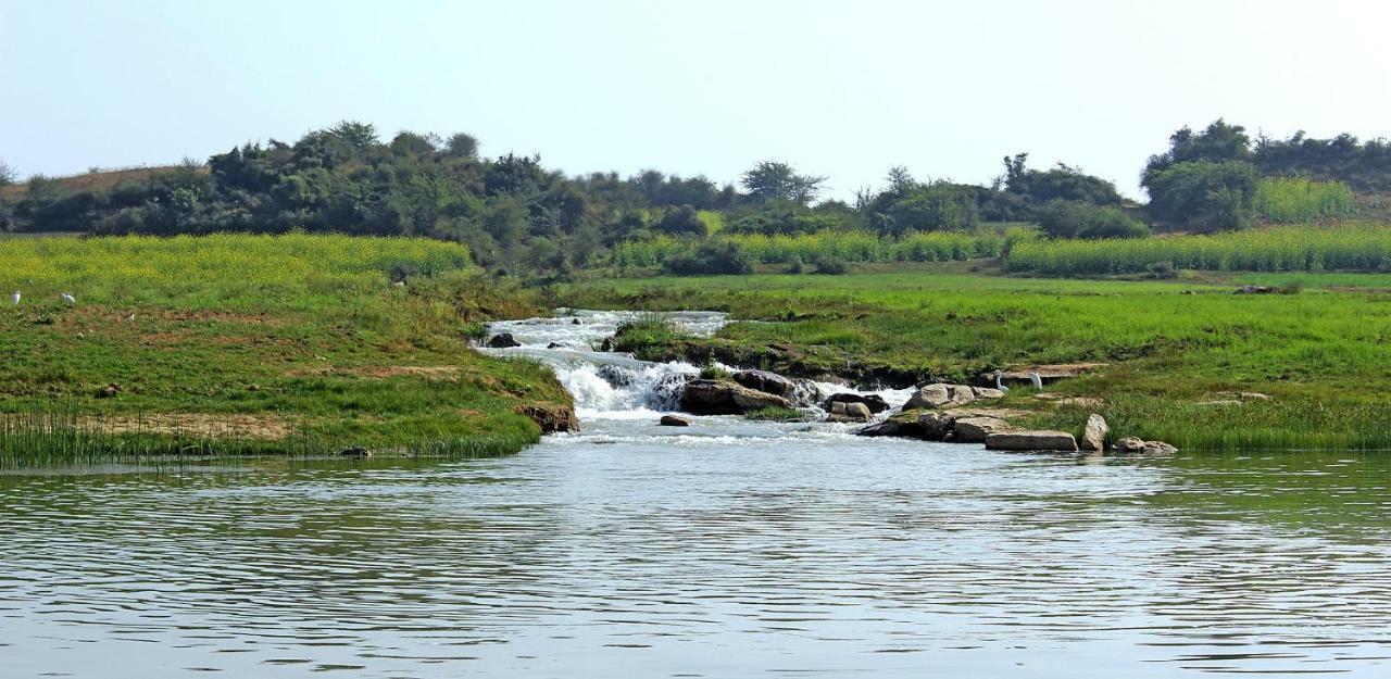 Bhadrawati - A Riverside Safari Lodge Ranthambore Eksteriør bilde